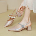 Chunky Heel With Pointed Toe - High Heels